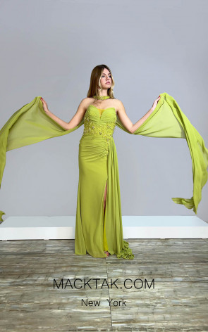 MackTak Collection 4497 Dress